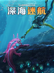 淘宝便宜袜子